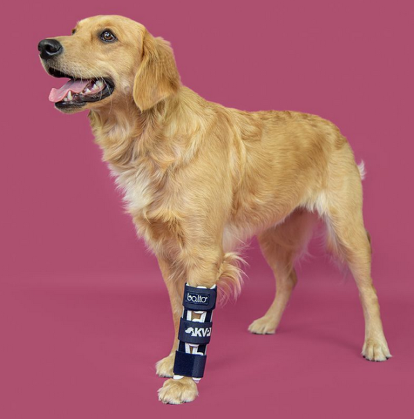 Orthese Hund zur Stabilisierung von Radius und Ulna (Elle und Speiche) - Balto Bone Splint Radius and Ulna